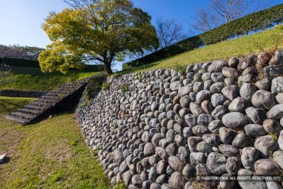 横須賀城の玉石垣