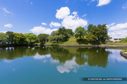 柳本陣屋の内堀池