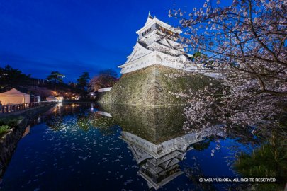 2025年春の桜撮影