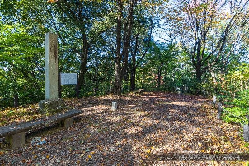 鷺山城の主郭（山頂）