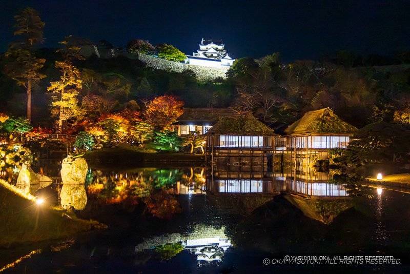 玄宮園ライトアップ