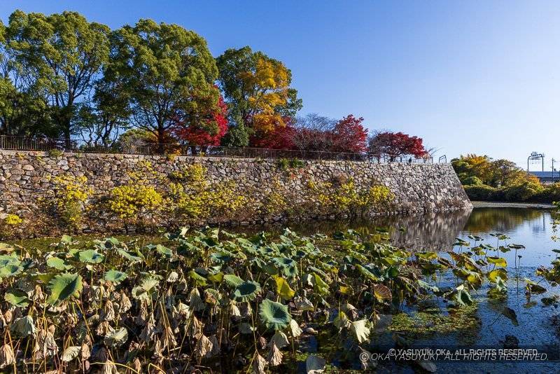 淀城 本丸石垣と水堀