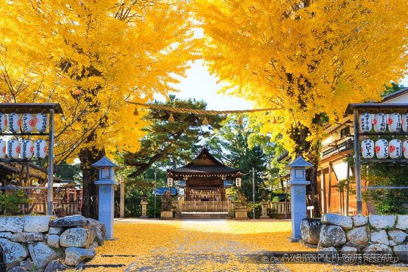 與杼神社（淀城跡公園内）