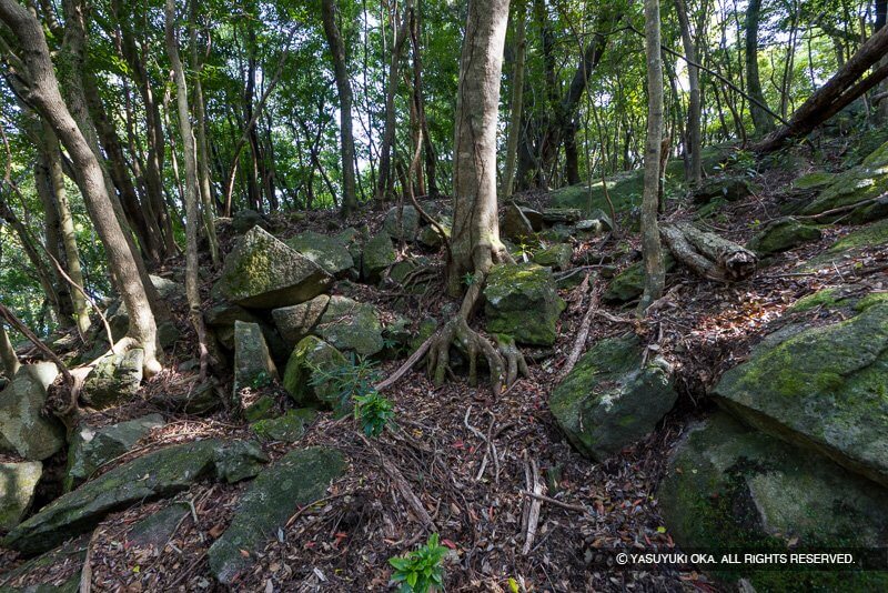 小杉半島の尾根上にある石丁場