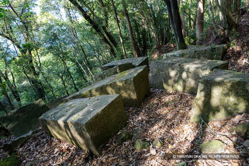 小杉C石切場