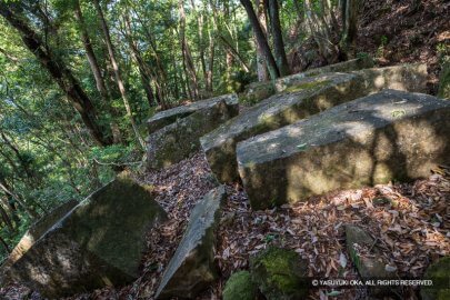 尾鷲の石丁場（石切場）を訪ねて