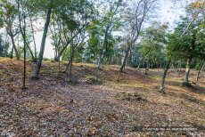 平井山ノ上付城跡