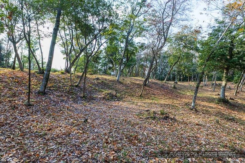 平井山ノ上付城跡