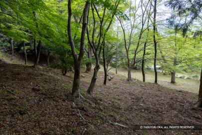 階段状に連なる平坦地