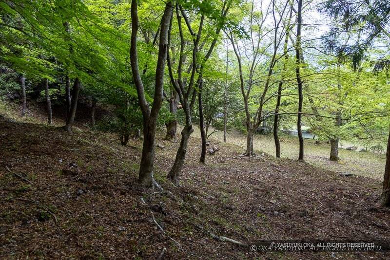 階段状に連なる平坦地