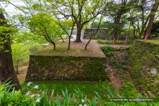 田丸城北の丸から本丸を望む