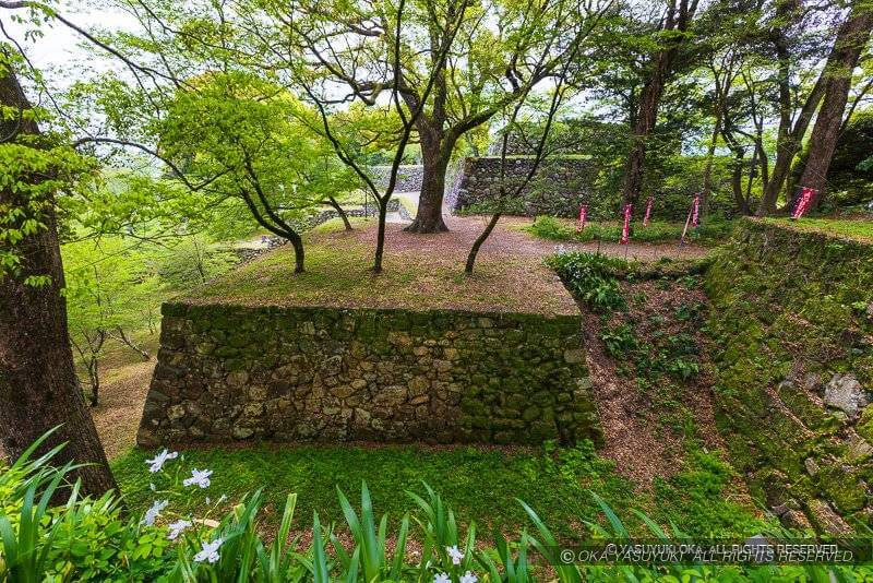 田丸城北の丸から本丸を望む