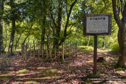 音羽城伝南丸の井戸跡