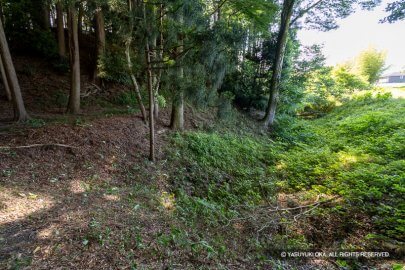中野城伝本丸の横堀