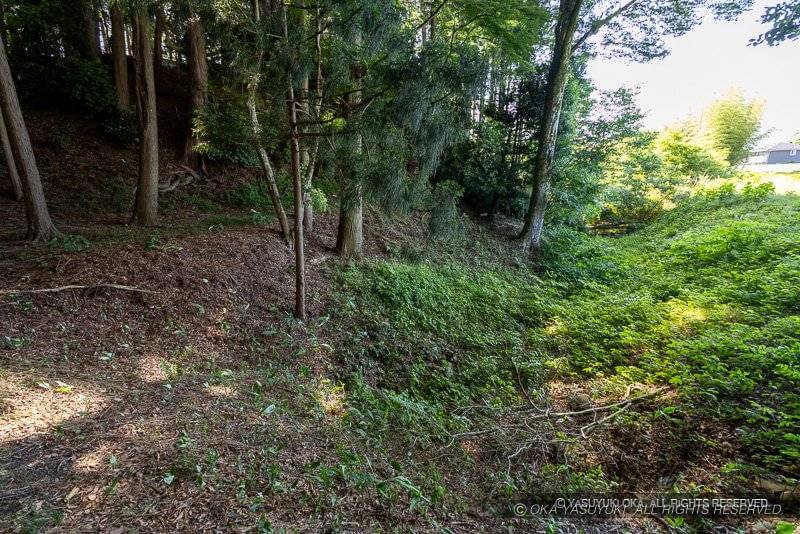 中野城伝本丸の横堀