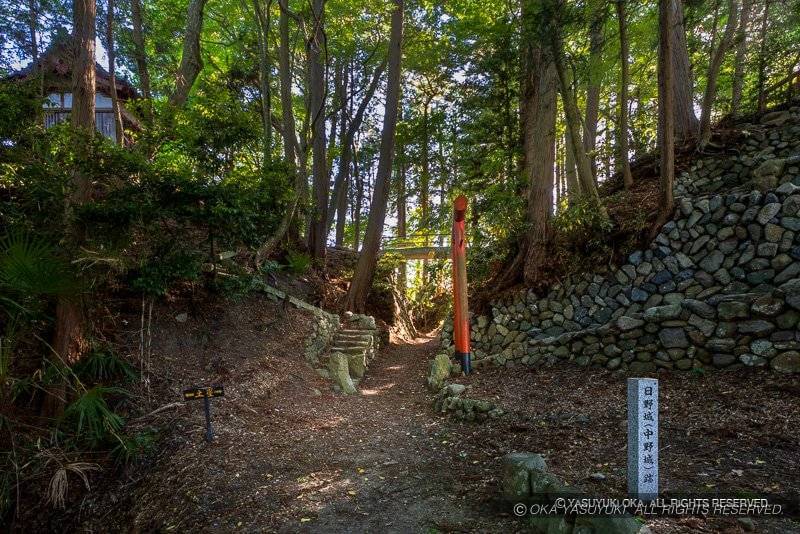 中野城伝本丸土塁