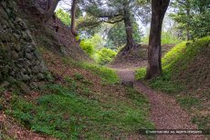 田丸城北の丸北側に残る空掘と土塁
