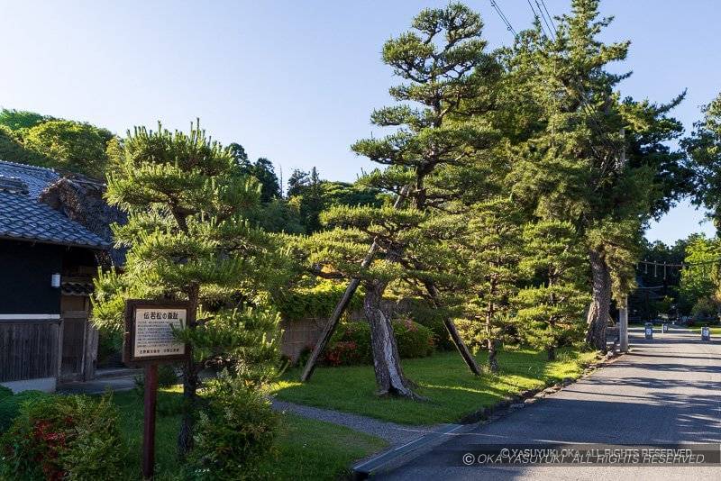 伝・若松の森跡