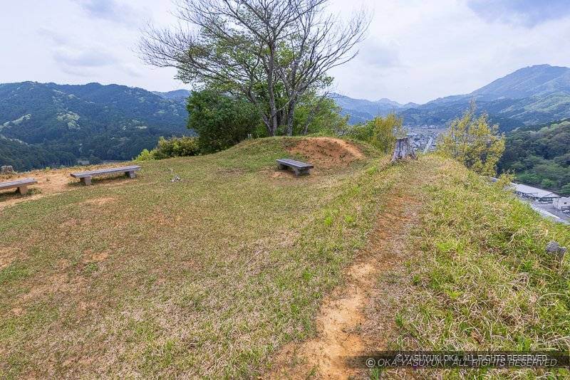 五箇篠山城主郭