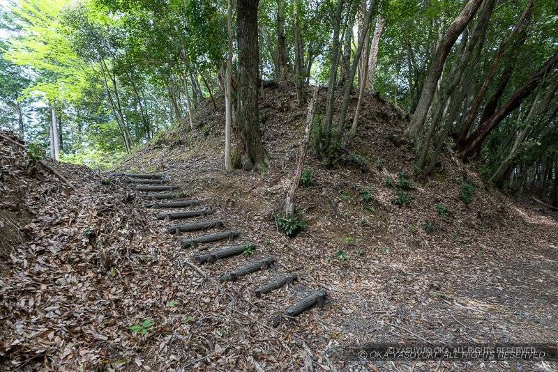 五箇篠山城曲輪3と堀切