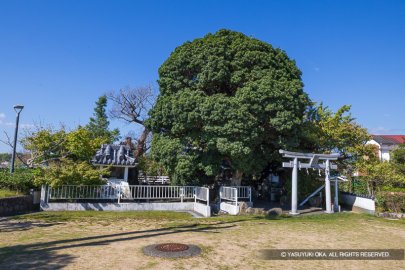 紀伊田辺城 錦水公園