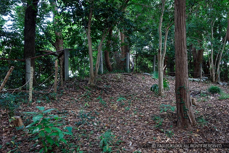 曳馬城（引間城）の土塁