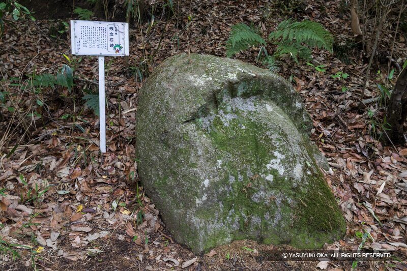 飯盛山の大坂城残石