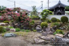 宮本武蔵の枯山水庭園