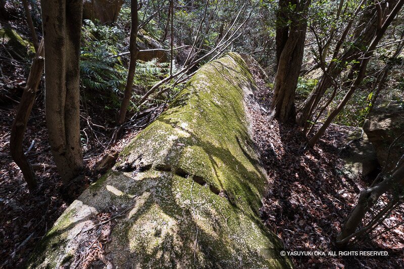 城山刻印群H地区の矢穴石