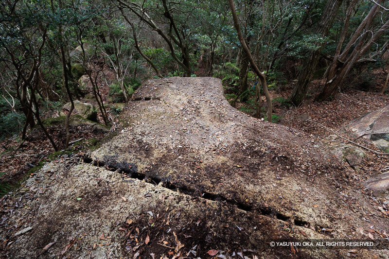 城山刻印群H地区の矢穴石
