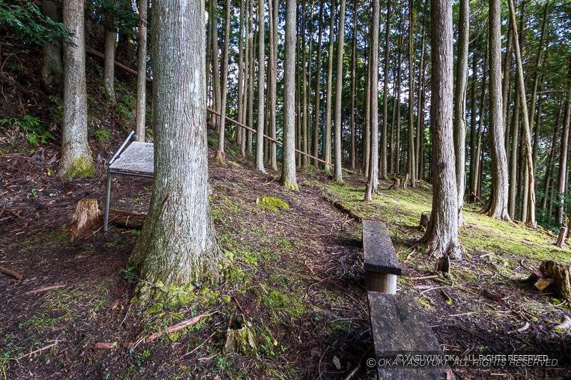 北畠氏館詰城跡