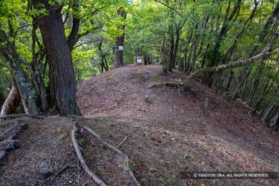 霧山城鐘突堂跡（南曲輪）の堀切