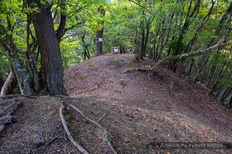 霧山城鐘突堂跡（南曲輪）の堀切