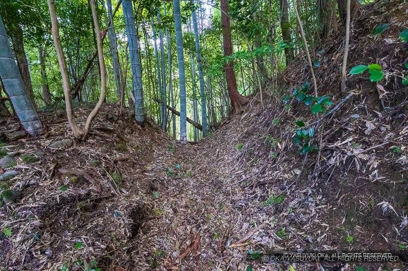 大河内城北東曲輪堀切