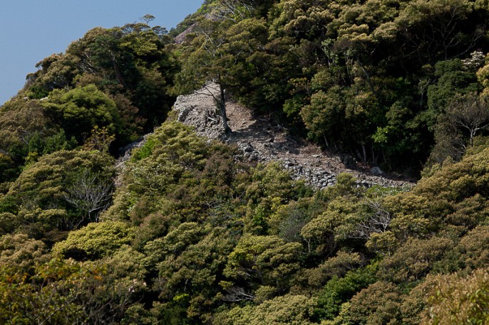 金田城石塁