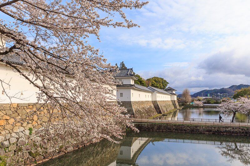 彦根城 春の佐和口多聞櫓・開国記念館