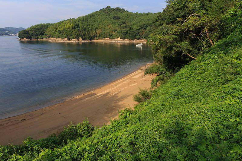 能島城の船溜り