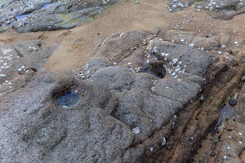 能島城の岩礁ピット