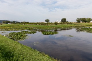 安田城・右郭と水堀