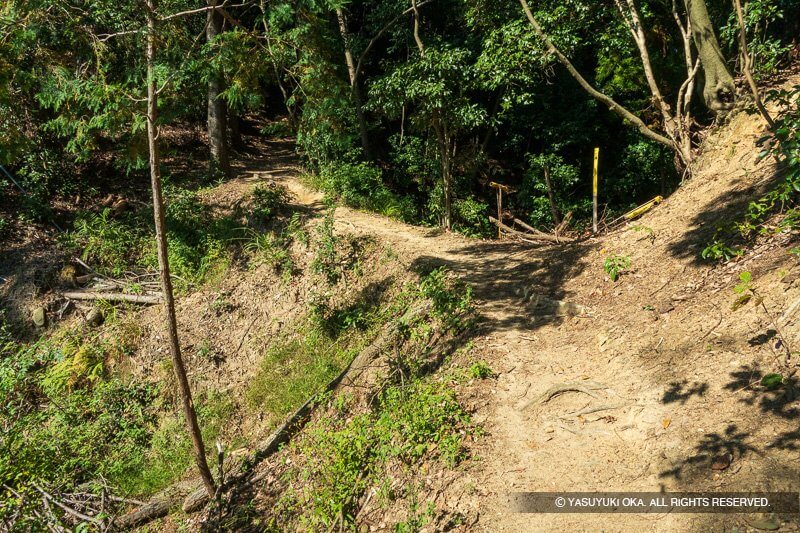 芥川城（芥川山城）堀切と土橋