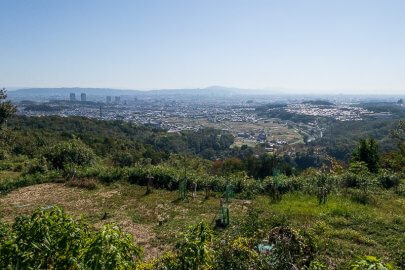 芥川山城主郭からの眺望