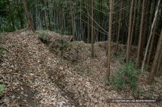 芥川城（芥川山城）竪土塁