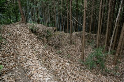 芥川山城竪土塁