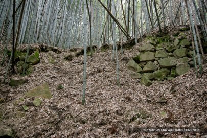 芥川城