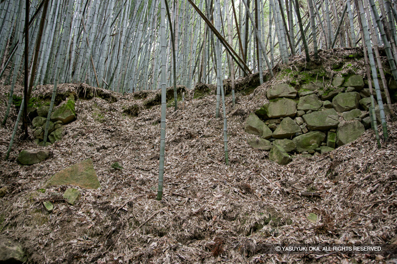 芥川城（芥川山城）大手石垣