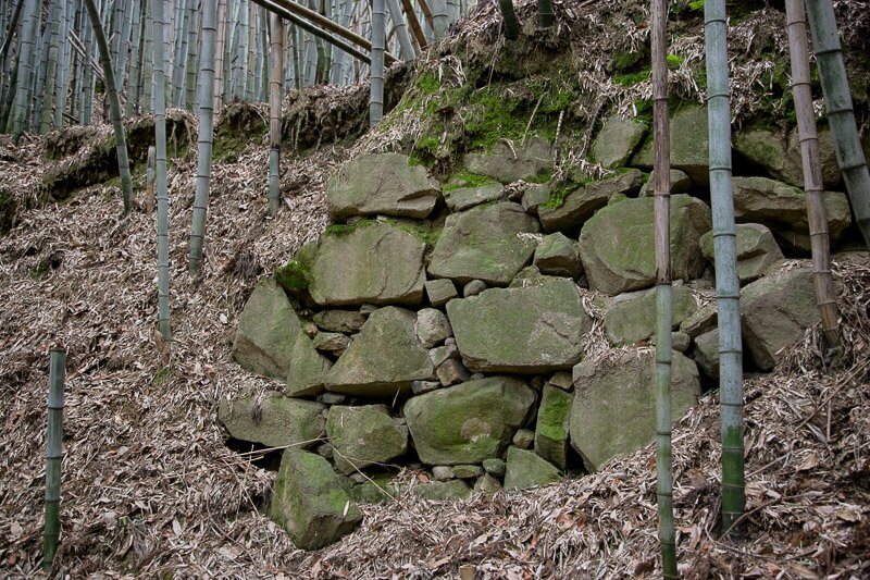 芥川山城