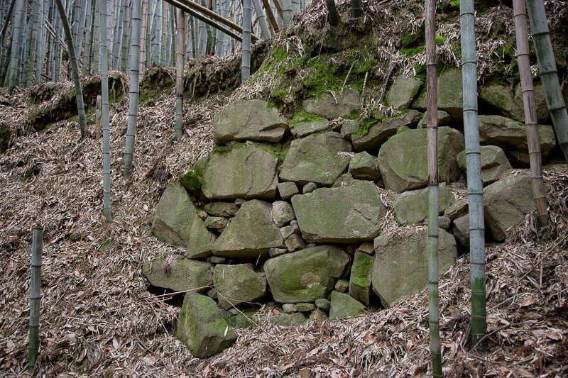 芥川山城