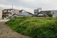 岸和田古城（宅地開発前）