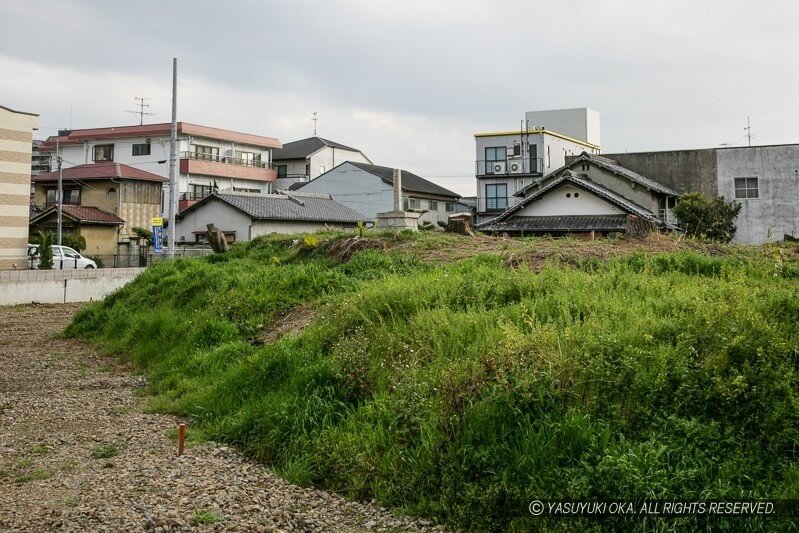 岸和田古城（宅地開発前）