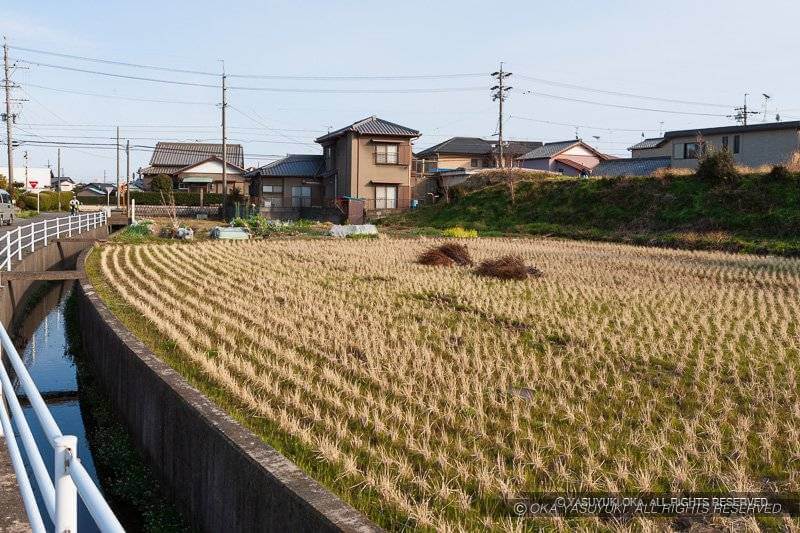 田中城三之堀・土塁